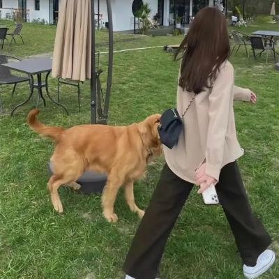 松江往事